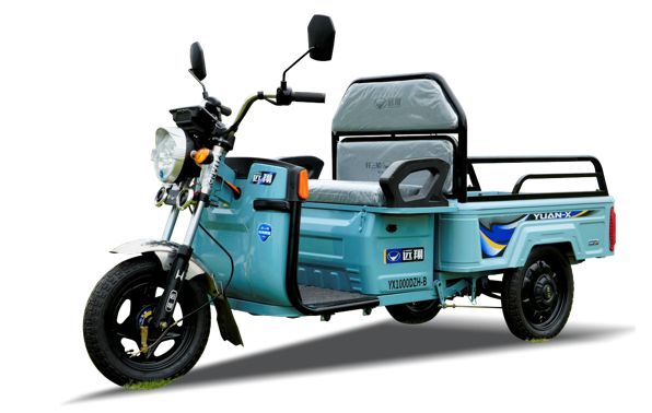 1.1 Flatbed - Starlight - Image 1